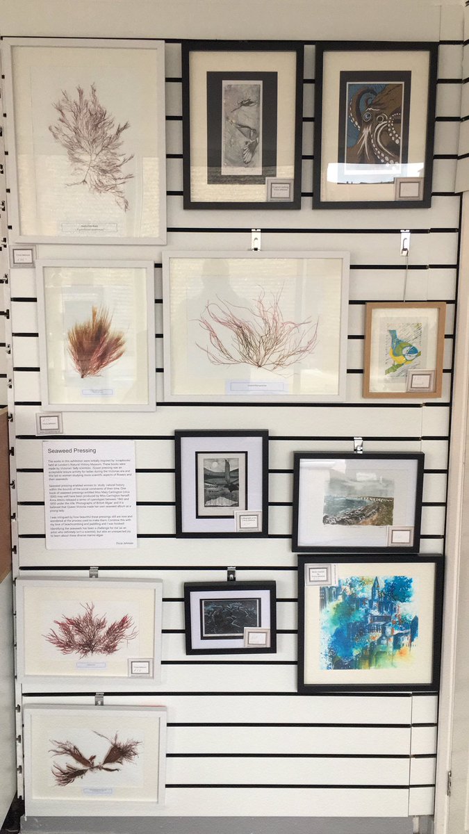 pierroadcoffee's tweet image. Come check out new work in from @Artwithtricia some ideal Xmas Gifts here! @LoveLocalBognor @ShopLhampton @ArundelBrewery @LoveAngmering