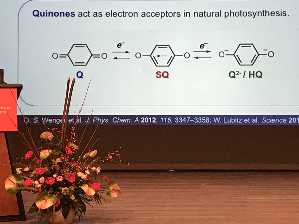 sirfrasersays's tweet photo. Jicama Milic is describing the research she carried out during her PhD under the supervision of François Diederich at ETH Zürich on the radical control of photo-redox switchable cavitands containing quinone rings.  #MMNP. @univgroningen https://t.co/XGW46baEmd