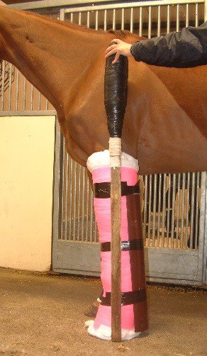 eqscied tweet picture