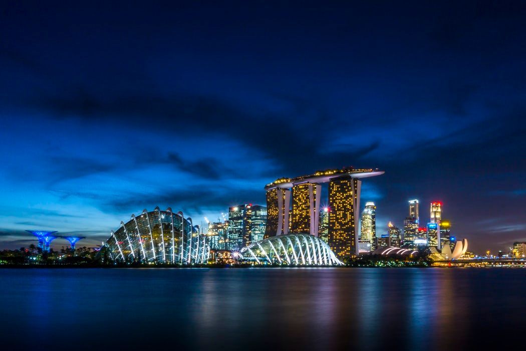 FlymbleTravel's tweet photo. The world’s first night zoo, the Night Safari, is located in Singapore. Enjoy this nocturnal experience, book your flight to #Singapore for 1/10 of the cost upfront with https://t.co/XxzKe6N84n ✈🌍! #ttot #travel #FlightBooking https://t.co/06rObw31V3