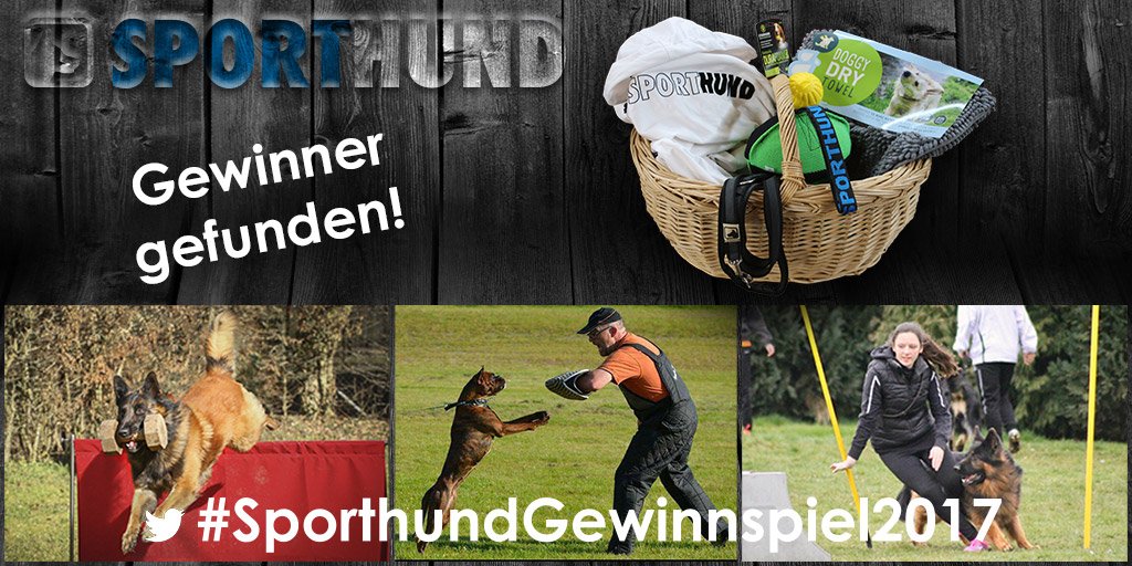 Sporthund_de's tweet photo. <3 Glückwunsch an Laura Schott, Maren Weber und Yvonne Krabbe-Mersch.
Eure Fotos zum Thema Hundesport haben wir ausgewählt.
Bitte meldet Euch zeitnah bei uns damit wir Euch Euren Gewinn zukommen lassen können. #Sporthund #SporthundGewinnspiel2017 #Hundesport #Fotowettbewerb https://t.co/Cel4Iw03Fo