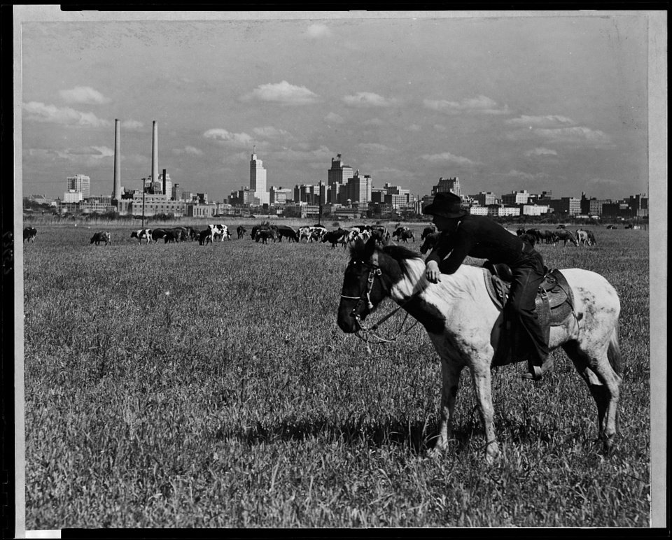 Daily Yers tweet media