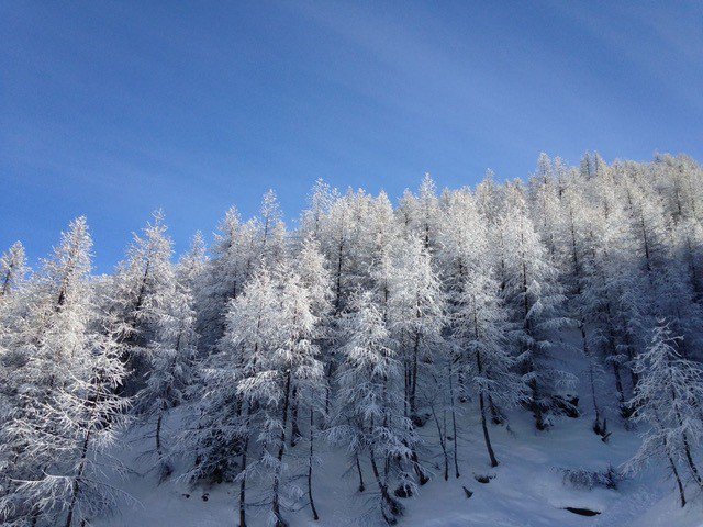 VIP_SKI's tweet photo. T-Minus 15 days until we kick of our season in @valdisere. There's still time to reserve your place on our ski clinics in partnership with @tdcski. Call today on 0208 875 1957 or visit https://t.co/2oKNhudznz #skiseason #vipski18 #LuxuryTravel https://t.co/tMCGmLA7hk