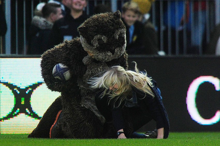 otterbrewery's tweet photo. @ExeterChiefs @PremRugby @BTSportRugby This has to be one of the best chases in the history of Derek the Otter's tenure @SandyParkExeter Who is this girl?! https://t.co/P4yAb1JMuz #cornishrocket #videogold https://t.co/xnMGAEADb3