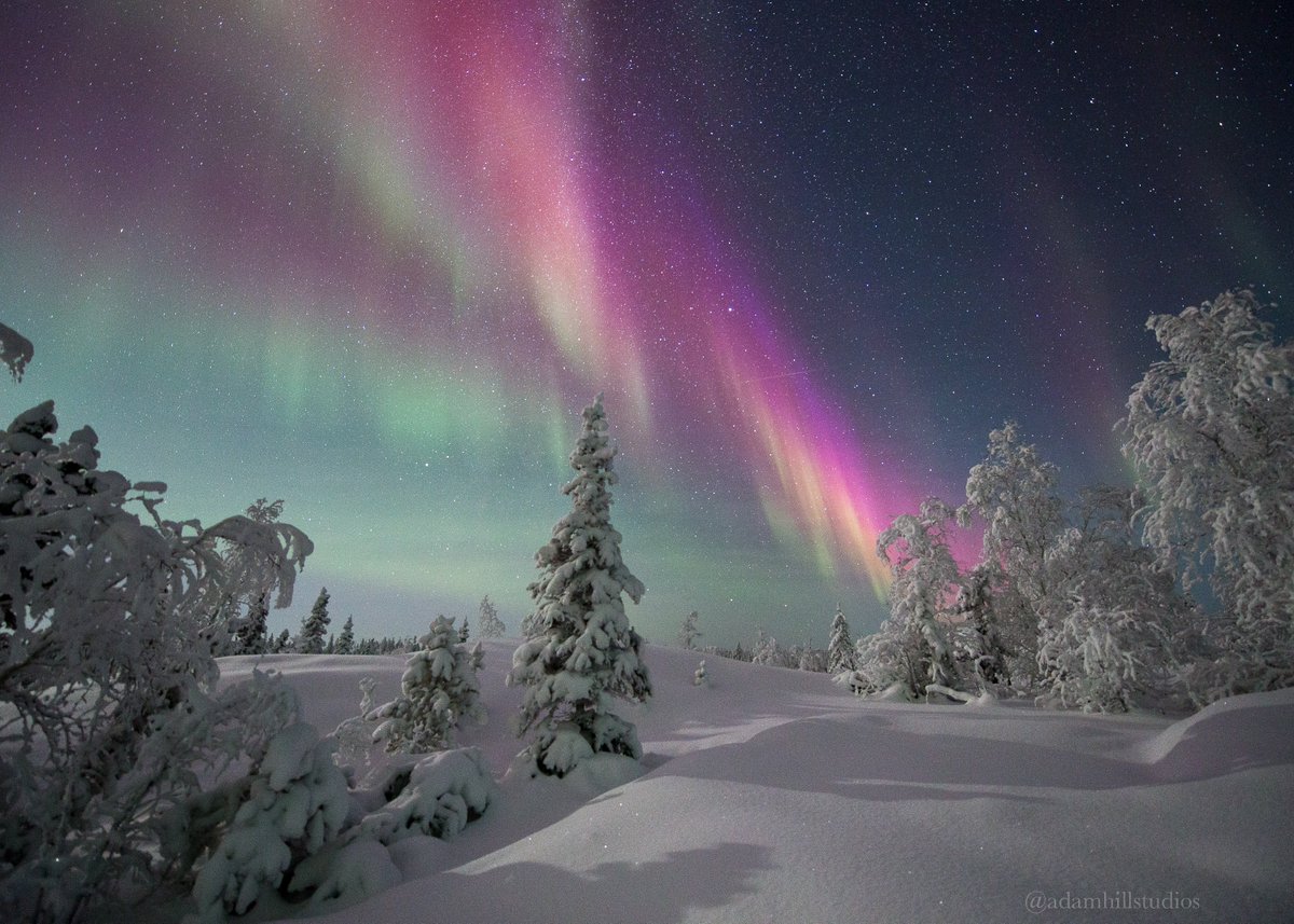 Northern Nights under #NorthernLights. #ExploreCanada #Aurora