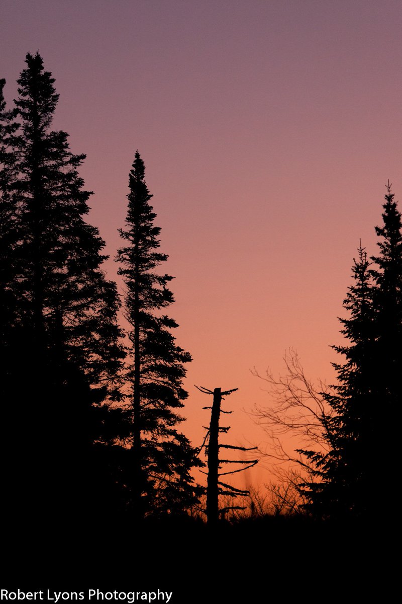 Walden Sunrise <a href="/TylerJankoski/">Tyler Jankoski NBC5 📺</a> @CaitlinMyNBC5 <a href="/MichaelPageWx/">Michael Page</a> <a href="/VermontTourism/">Vermont Tourism</a> @TimNBCBoston <a href="/wcax/">Channel 3 News</a> <a href="/SeanMParker/">Sean Parker</a> <a href="/JimCantore/">Jim Cantore</a> <a href="/ericfisher/">Eric Fisher</a> @THISISVT