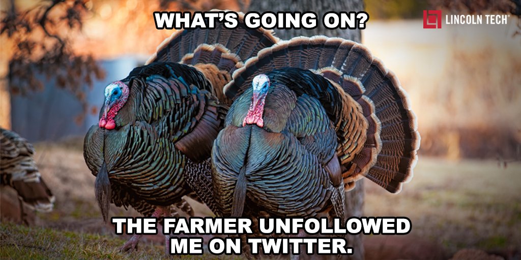 LCTGrandPrairie's tweet photo. If #turkeys could talk! #LincolnTech #Thanksgiving https://t.co/YTQlXNeOTg