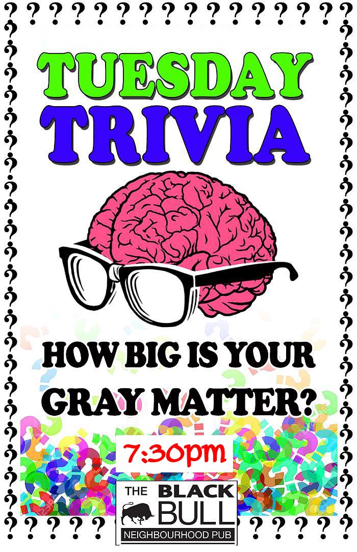 Tueday trivia <a href="/TheBlackBull3/">The Black Bull Neighborhood Pub</a>  featuring $7.99 mini pitchers <a href="/MooseheadLager/">Moosehead Breweries</a>. Still looking for teams of 5 max. How about you <a href="/Y108Rocks/">Y108 Rocks</a>? <a href="/MrBrianWest/">Brian West</a> ? <a href="/fosterfunny/">Glen Foster</a> ?<a href="/BurlNews/">Burlington News</a>?