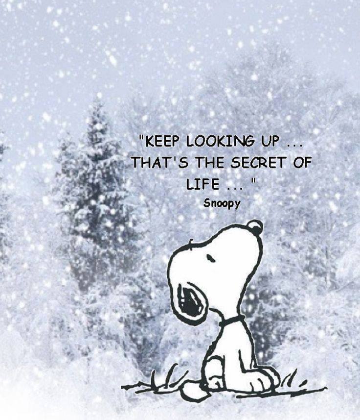 BIRNNetwork's tweet photo. Whether you are catching a cold or having a difficult day, keep looking up. #KeepLookingUp #Snoopy #StayPositive #BlueIsland #Robbins #BIRCC https://t.co/9Ln3wghMOs