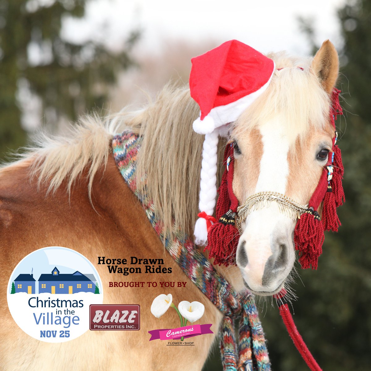 We're very excited about the upcoming <a href="/ChristmasVille1/">ChristmasVillage</a> celebration in Belmont Village on Nov 25th! We've teamed up with Blaze Properties to bring horse drawn wagon rides to this amazing event! Join us starting at 11am this Saturday! #kwevents #kwawesome #explorewr