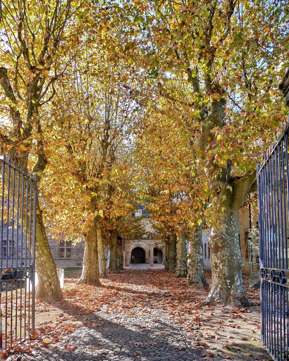 gaillard100's tweet photo. Direction le #musée #Labenche ! Superbe photo de 📸feedebeauxreves #tousgaillards https://t.co/CGZvzVY1I9
