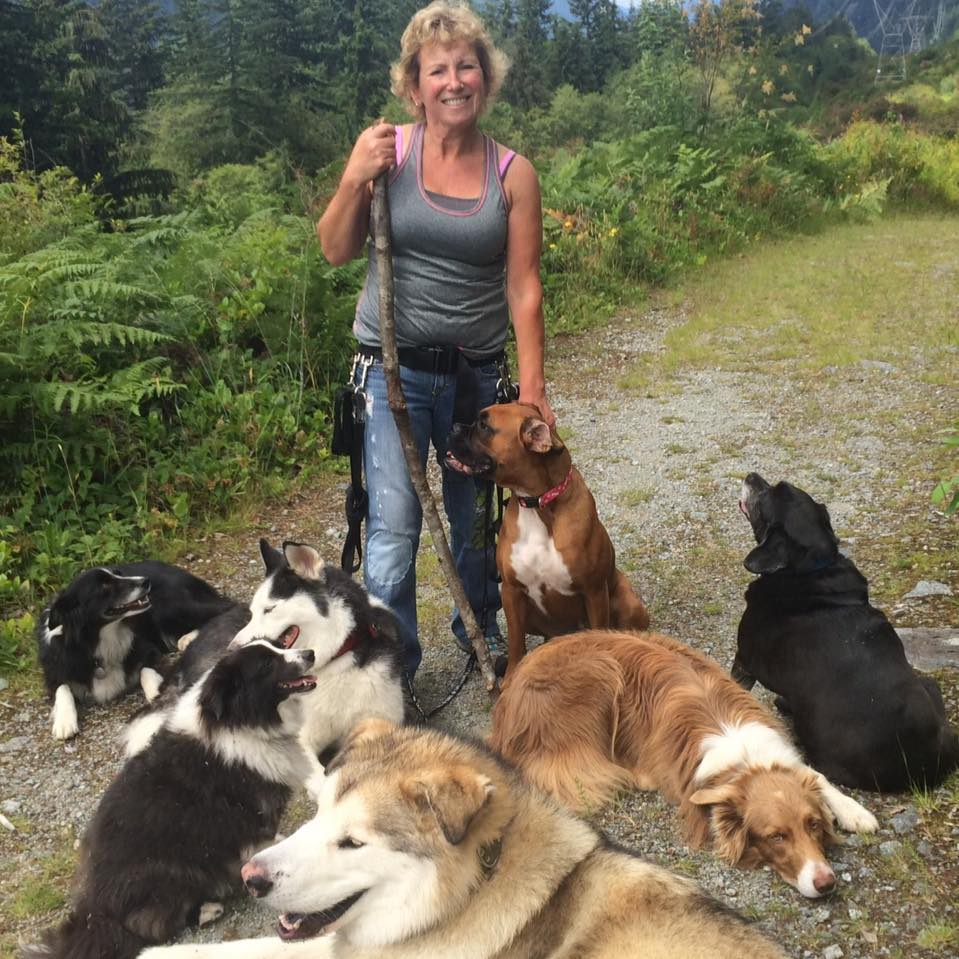 CoquitlamSAR's tweet photo. Coquitlam SAR is continuing the search for 52 y/o Anette Poitras missing since yesterday on Eagle Mountain nr Westwood Plateau. 

If you say Anette yesterday pls call Coquitlam RCMP (604) 945-1550 https://t.co/qekXdY0fUv