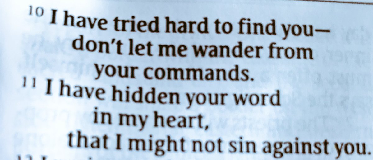Gagreeneyes65's tweet photo. #Psalm119:10-11 #commands #word #heart #notsin #Lord #Bible #BlackFriday #GivingTuesday #TuesdayMotivation @mcalisterian2 @psalms  @anna_hosein @Music4HimNow @acamire @_LoveLike_JESUS  @LPeschon https://t.co/mvYOwnILFV