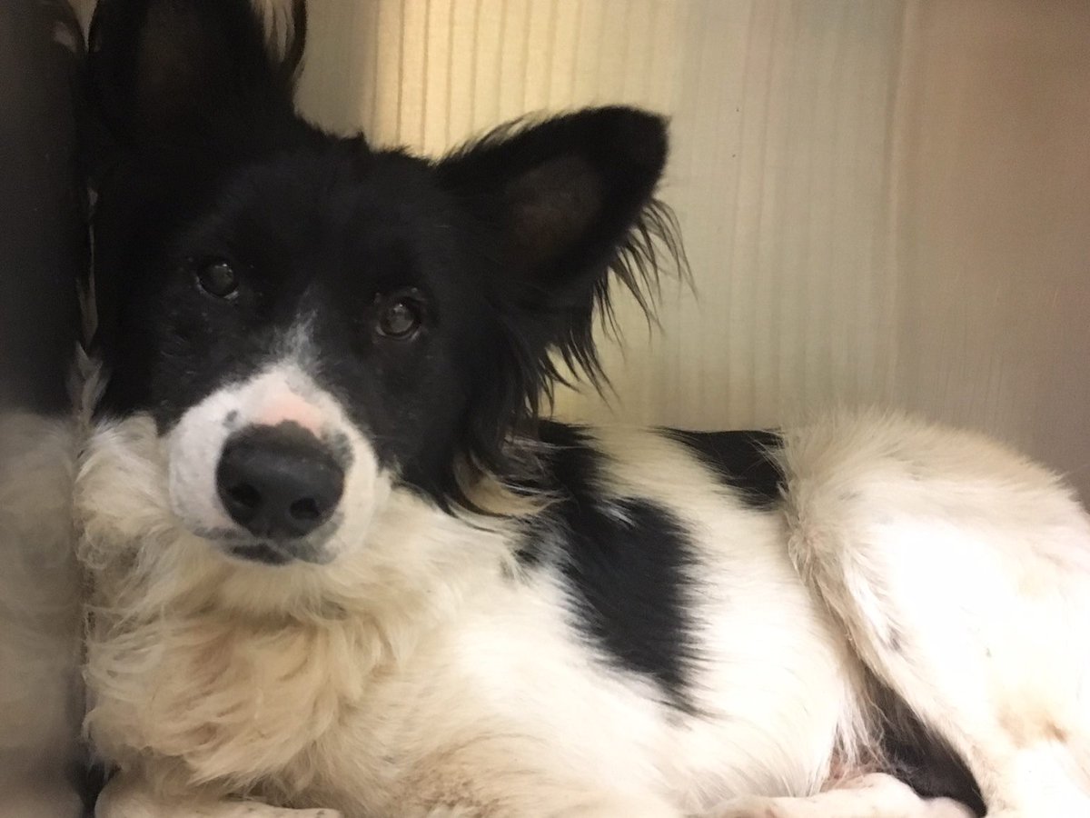 Mary Jo DiLonardo tweet media