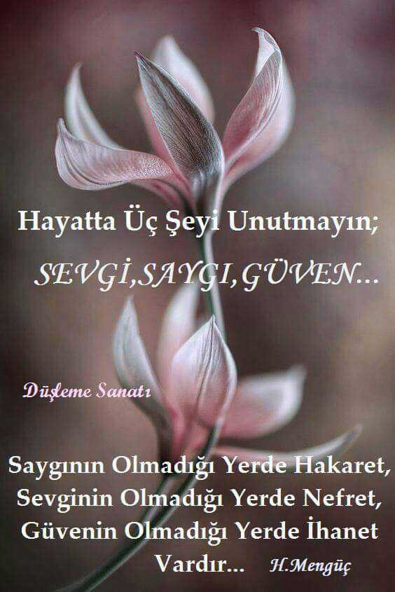 HANÇER.42 (@hancerliselim) on Twitter photo 