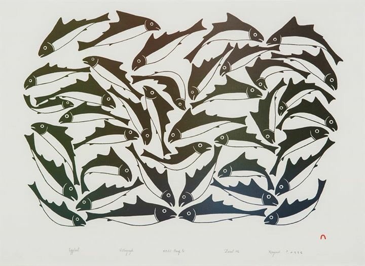 Qikiqtani Inuit tweet media