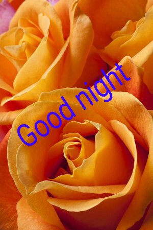 satheesh779's tweet photo. https://t.co/Li9jTkggol
