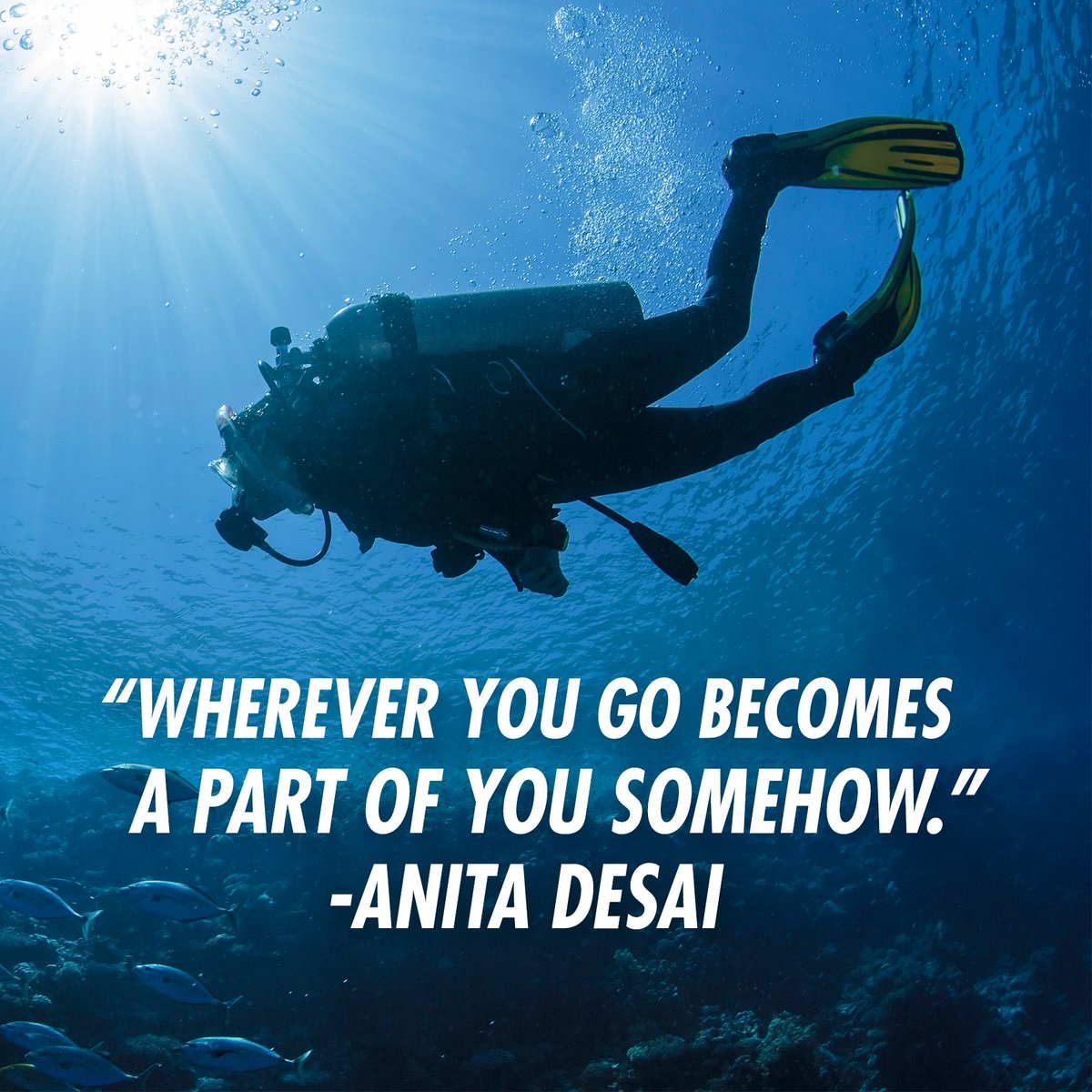 identogo's tweet image. And with TSA Pre✓® you’ll be transforming yourself in no time.