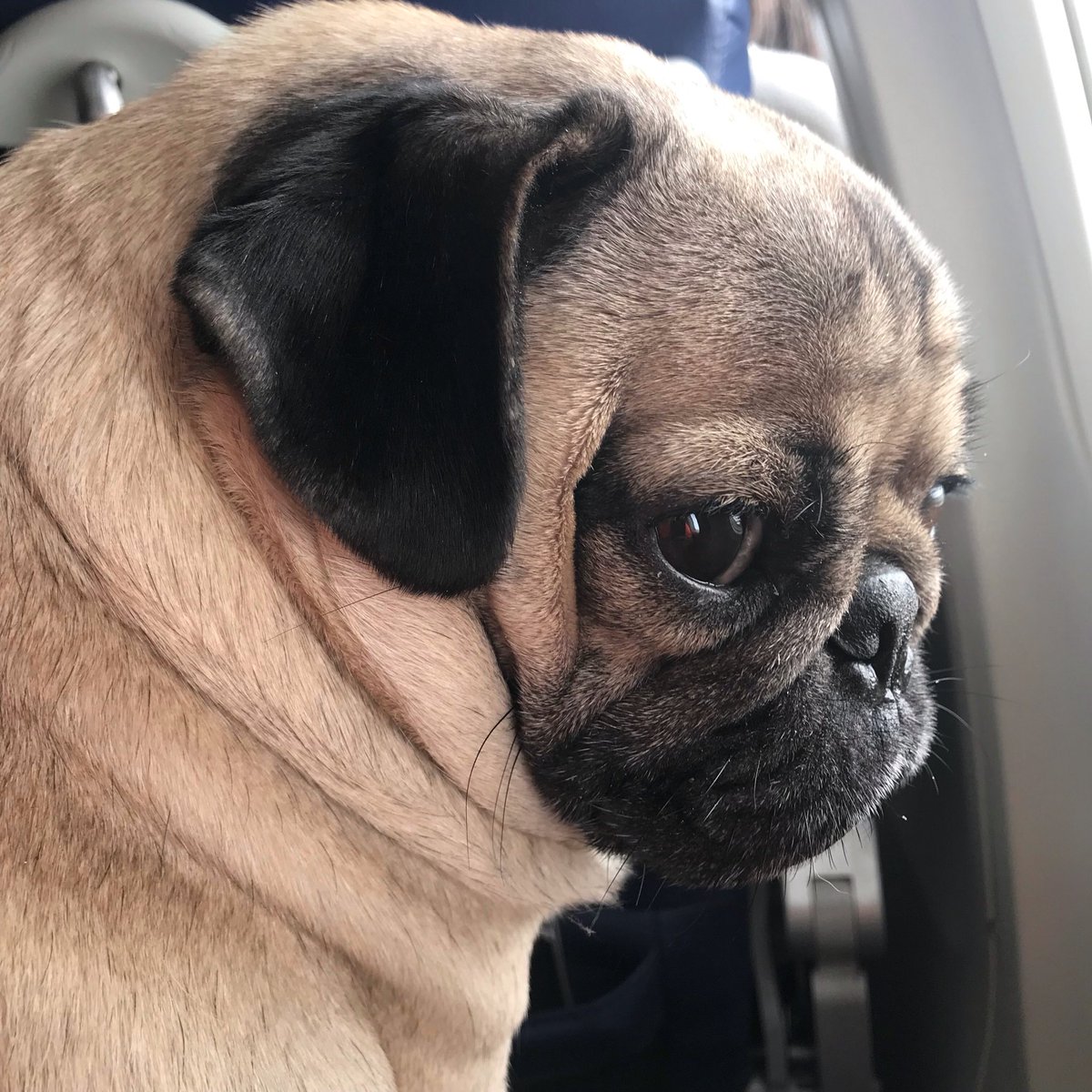 When the person behind u keeps kicking ur seat, image size:1200x1200
