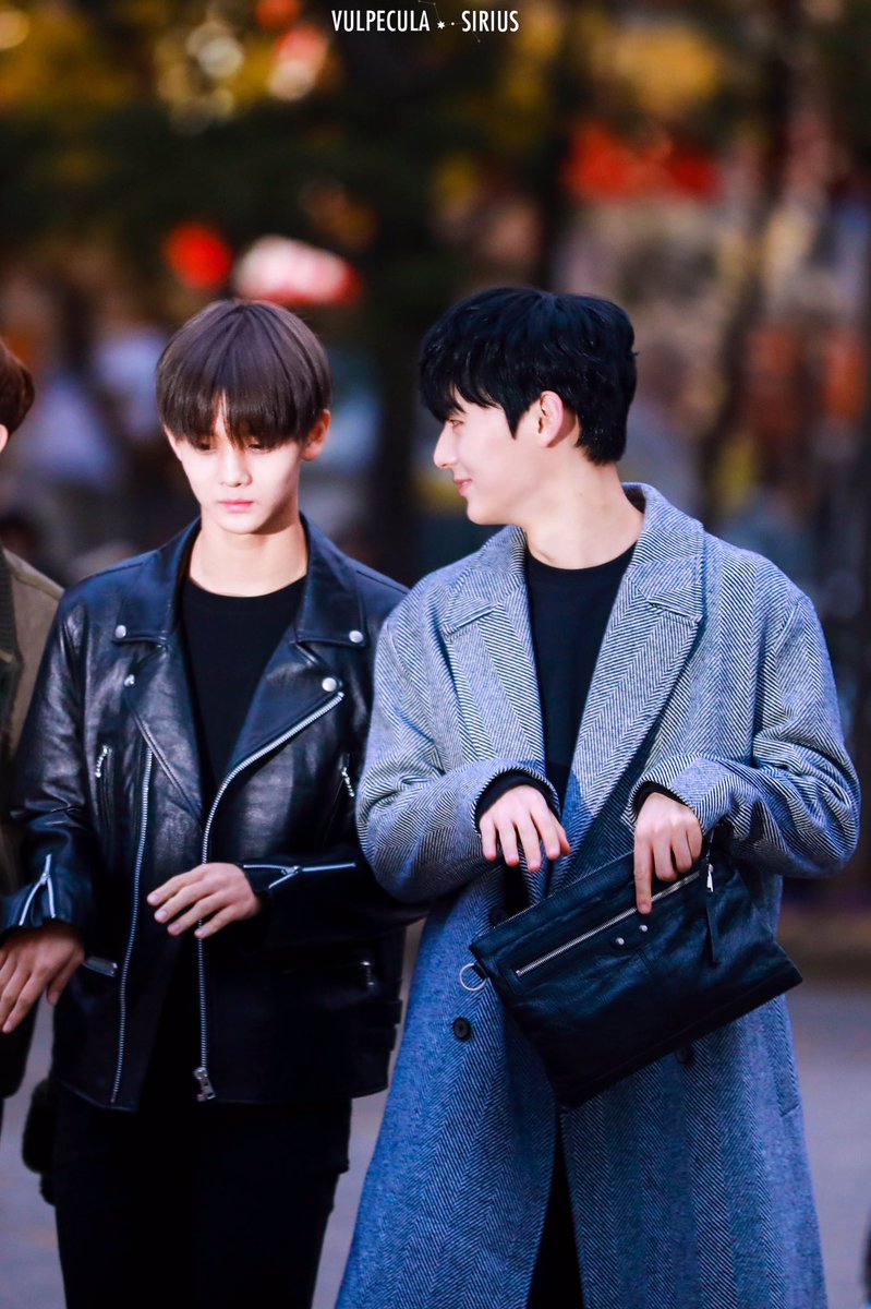 VULwithSirius's tweet photo. 171117 뮤뱅 출근 HD
📸

#배진영 #황민현 #년딥 #워나원 #baejinyoung #hwangminhyun #hwangdeep #wannaone https://t.co/Gt0Il1lf21