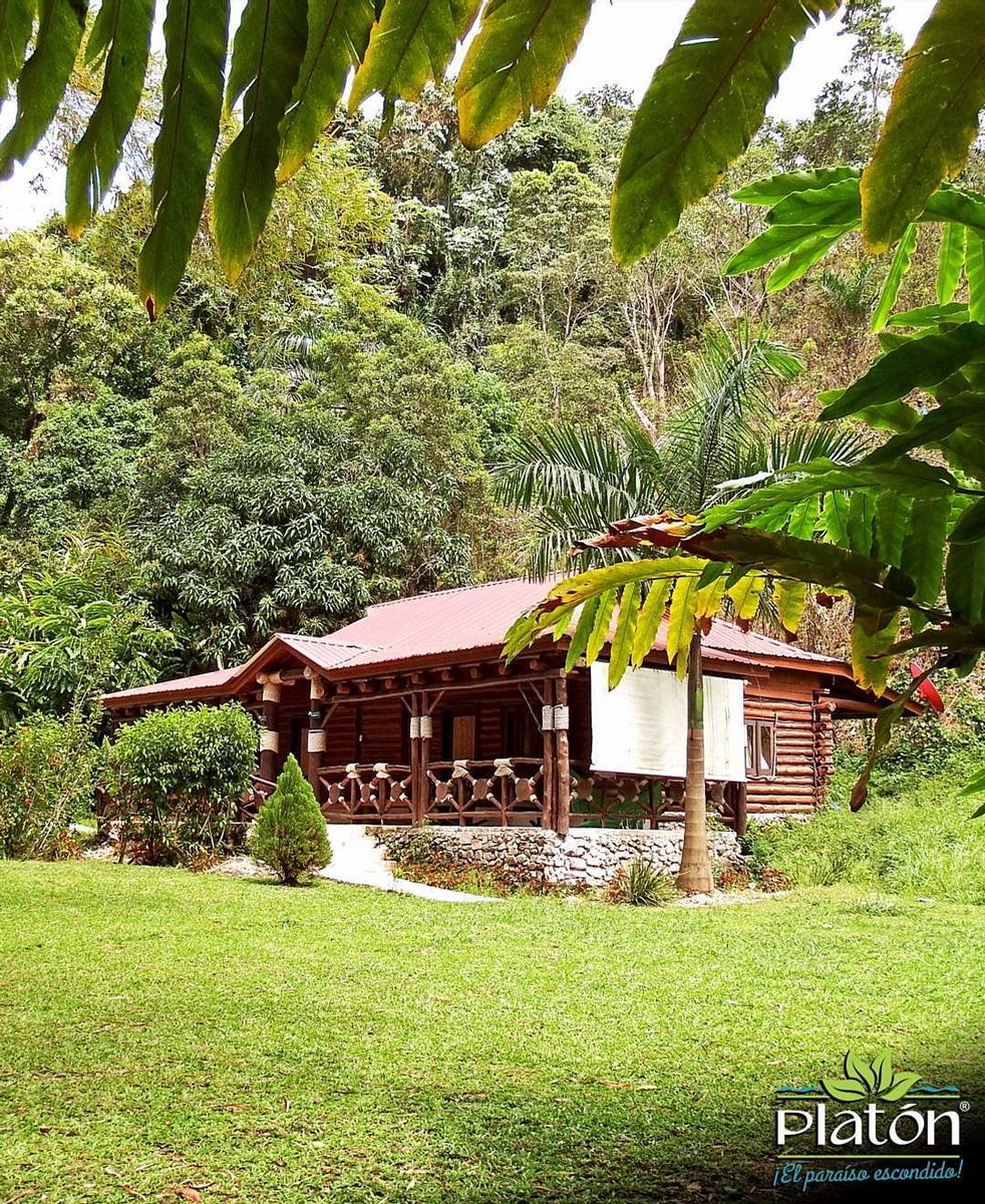 platonecolodge's tweet photo. Cabaña "Tronco"
Esta cabaña fue creada con amplios espacios que ofrece todas las comodidades para alojar grupos.
#aventura #naturaleza #cabañas #ecoresorts #nature #adventure #ecoresort #ecoturismo #ranchoplaton #turismointernord #barahonard #elsureshermoso #dominicanrepublic https://t.co/Ld2kBhqsyS