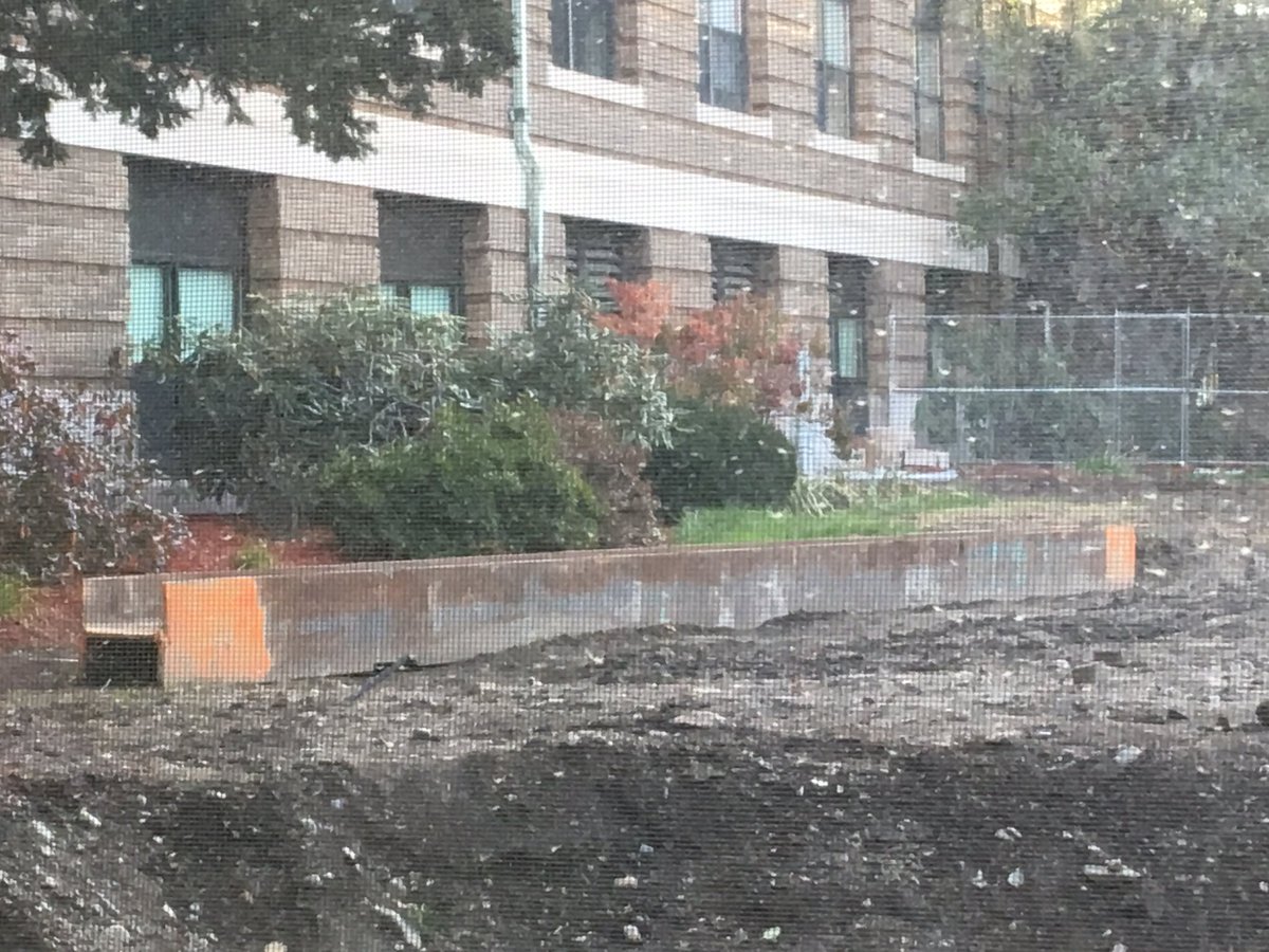 AnnamariaWenner's tweet photo. Whoever is missing a beam, it is outside of my office. #scenesfromadeanswindow https://t.co/9h1N4JWYZ8