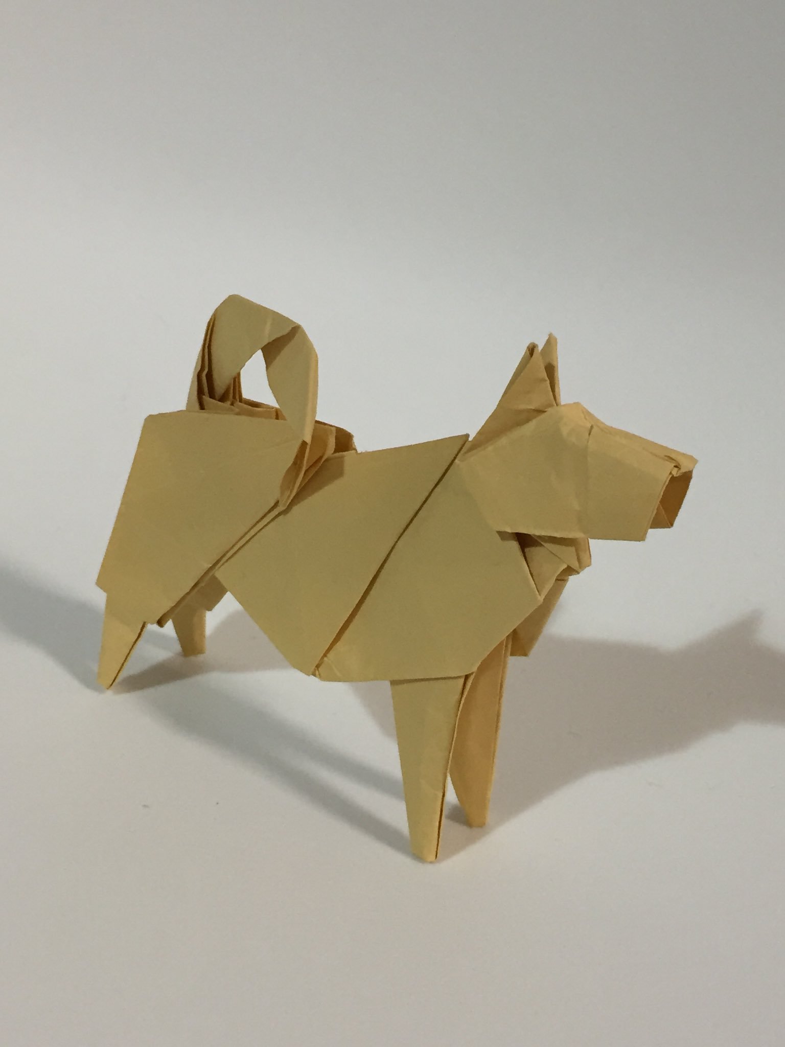 Riko No Twitter Origami05 かっこいい 折り紙教室で この季節 干支シリーズを折っていますが 犬は難しいらしく 鶏をやるそうです Twitter
