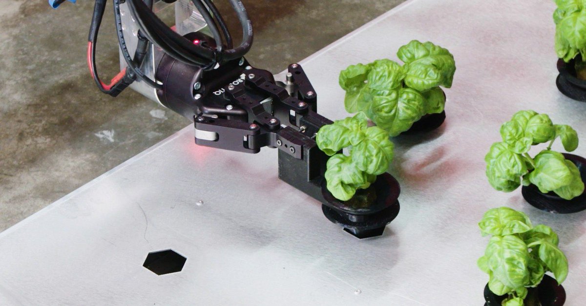 The Hydroponic, Robotic Future of Farming in Greenhouses. Is this the way we need to go? buff.ly/2mM8Feg
