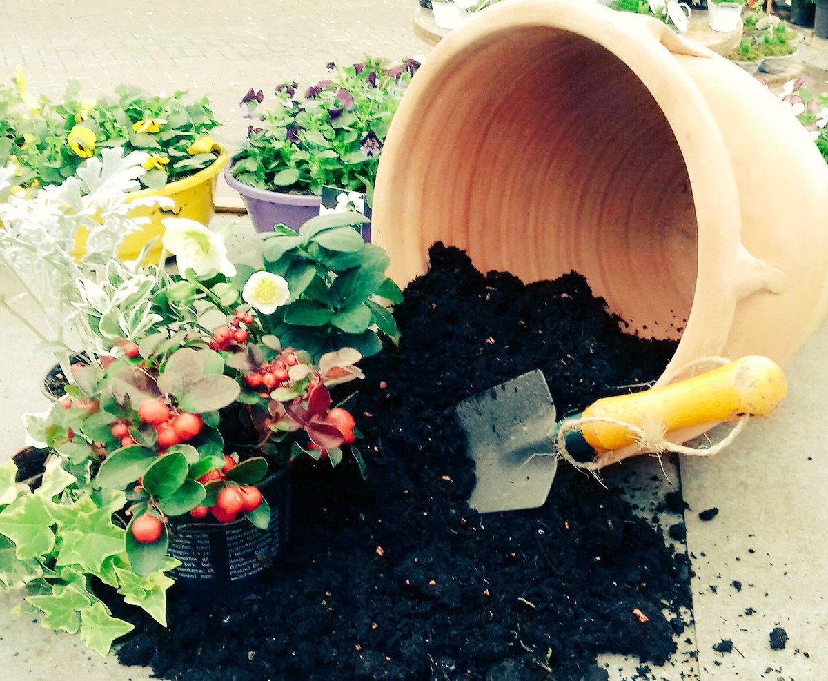 VanHage's tweet photo. Come along to our free demonstrations @VanHage Great Amwell site this Thursday 23rd of November! See link below for more details https://t.co/bxmilZMYag We look forward to seeing you there! 
#wintercontainers
#pottingup
#gardeningdemonstration https://t.co/SBxoIlMSho