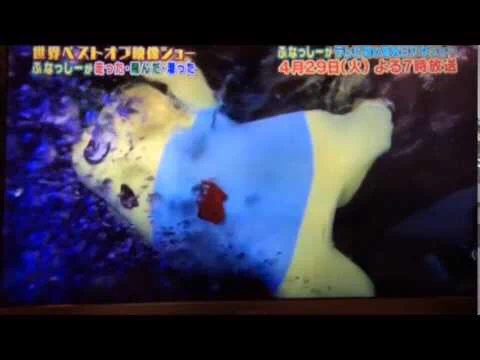 最近TVで見かけない梨の妖精・・・　ふなっしーがTV出演しなくなった理由はこの画像で分かる