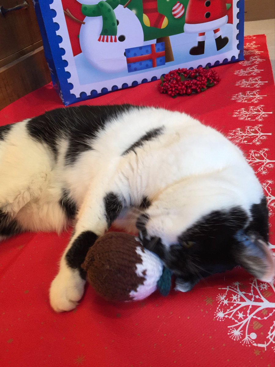 Thank you for my Christmas Pudding. Love from Christmas Pudding! <a href="/octo_army/">Handmade By You</a>