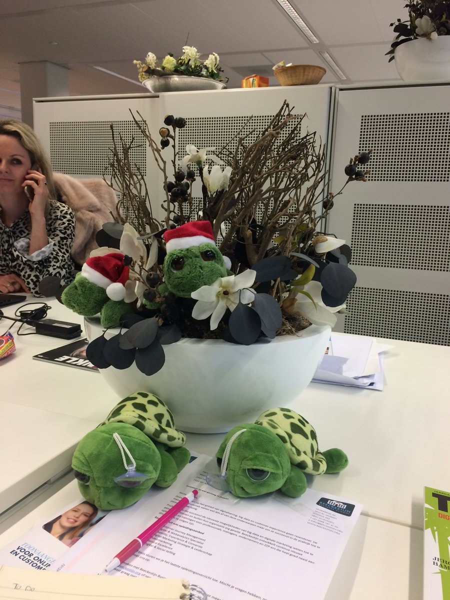 roosdros's tweet photo. @turtlstories we will, they're making theirselves at home already. https://t.co/IaDb2DbF5e