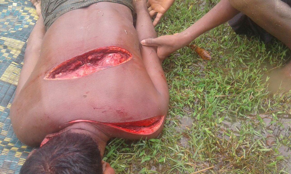 hamidmrb15's tweet photo. @IntlCrimCourt Everyday Myanmar terrorists government military and BGP(MOWG)POLICE killing rohingya people and genocide of rohingya people and burning th.. https://t.co/eXRsuTUZiQ