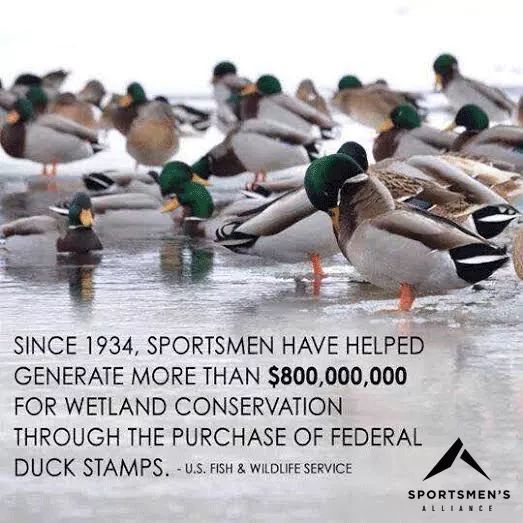 HuntStand tweet media