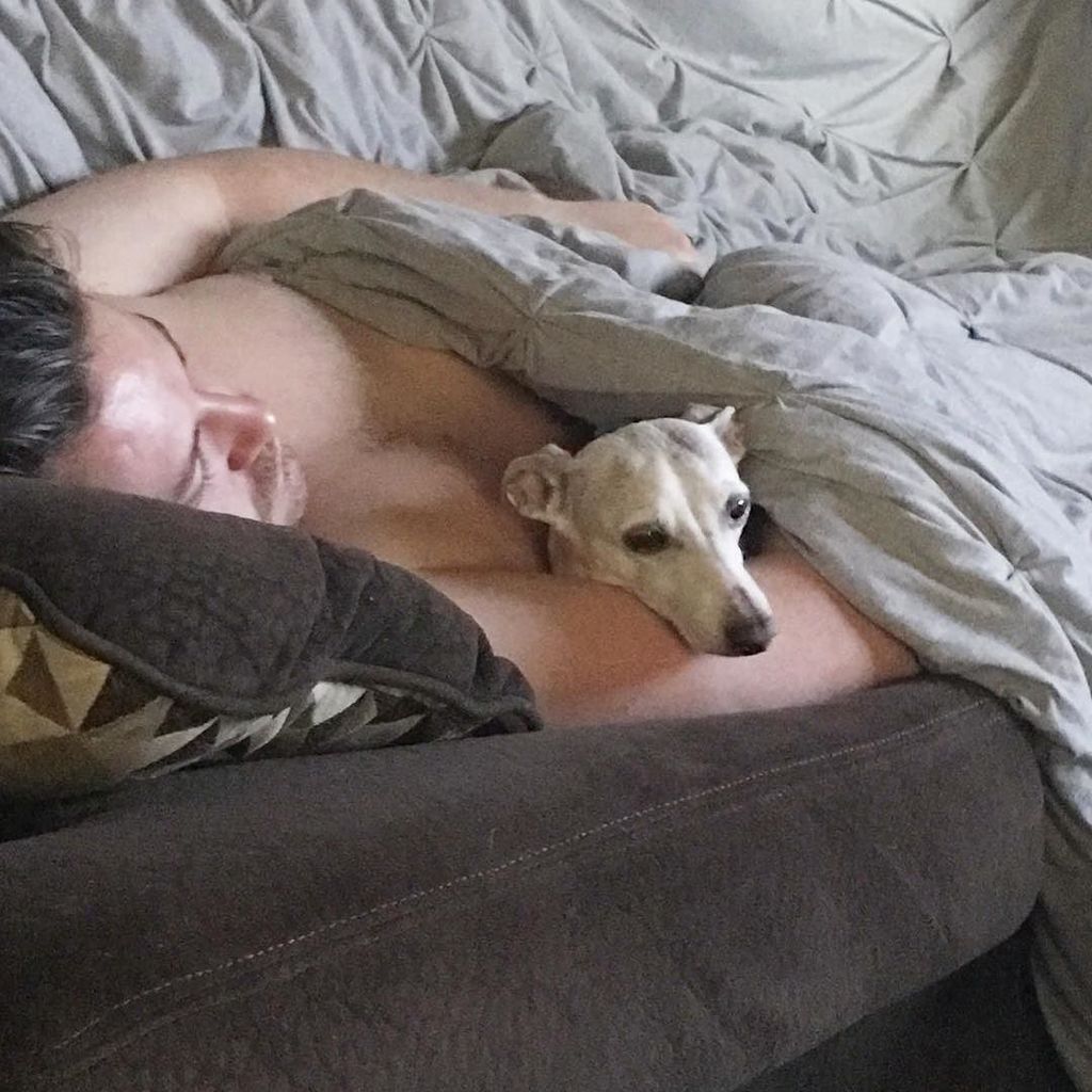 isthatkaitlin's tweet photo. This #iggy is obsessed with her Dad. #goodmorningdog #italiangreyhound https://t.co/eNCFxt2FcW https://t.co/OpMeeNIuX1