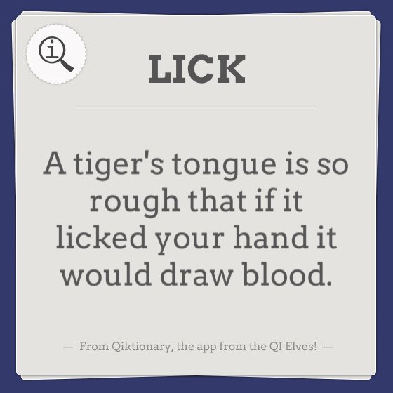 LeonoraPenglase's tweet photo. Here's an interesting fact about the word LICK from @Qiktionary. https://t.co/mSQsUHDBSg https://t.co/kC7sZIYPRz