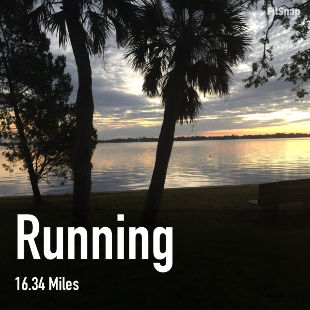 RunnerWithin's tweet image. Walt Disney World Marathon Training Recap Week 9 therunnerwithin.com/2017/11/21/wal…
