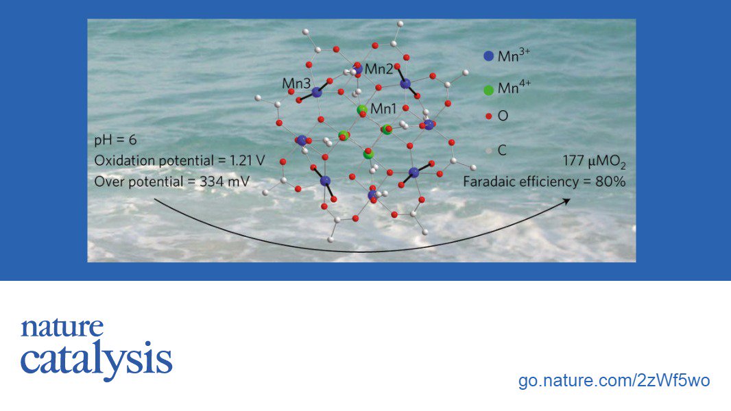 ebook biochemistry and