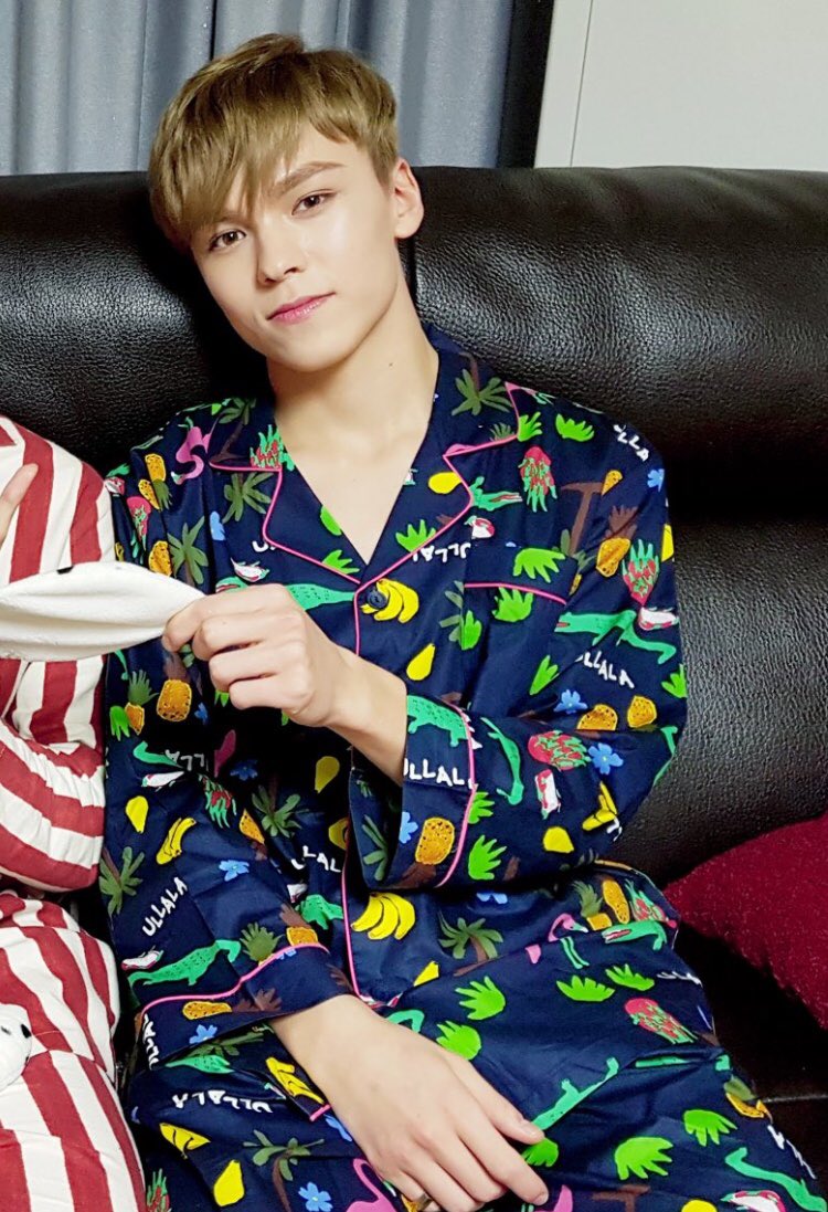 low quality vernon ✨ (@lowqualityhvc) on Twitter photo 