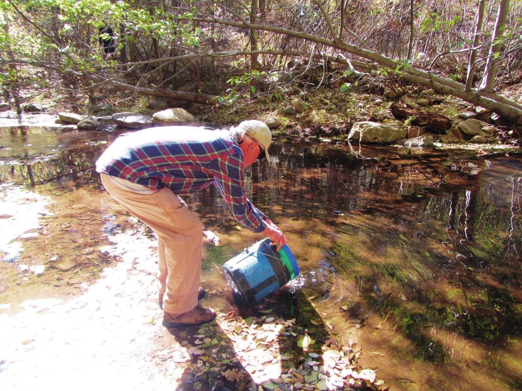 Inthecurrentaz's tweet image. Stocking Gila Trout into the West Fork Oak Creek - inthecurrent.org/field/stocking…