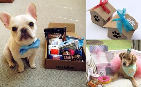 pico_bags's tweet photo. A Special Treatment for Pets with #Gifts in #GiftBoxes, https://t.co/G8YMGrc8QN
#smallgiftboxes #giftboxes https://t.co/2aAgk8U5so