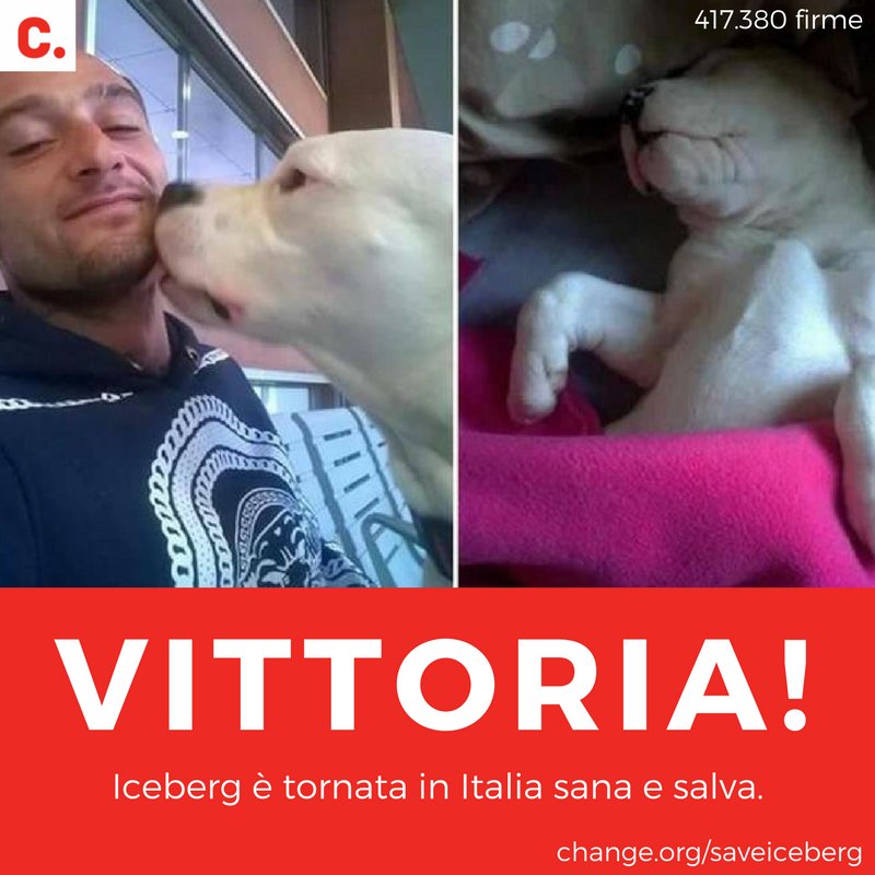 ChangeItalia's tweet photo. "Finalmente Iceberg è libera, a casa sua, tra i suoi affetti, dove sarà rispettata e amata." #saveIceberg
Guarda la diretta dell'arrivo di Iceberg all'aeroporto di Fiumicino a Roma ->https://t.co/xdBfDk862M https://t.co/HYn1wfNxOZ