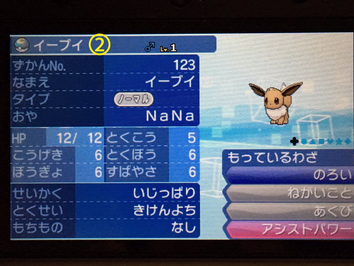 イーブイ6v 配布専用垢 Eevee6 V Twitter