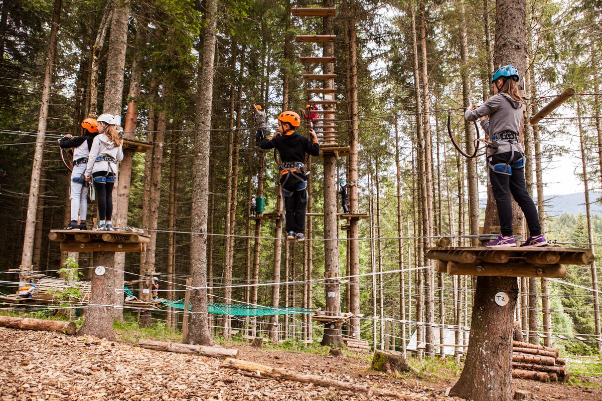 VercorsMusic's tweet photo. #JeudiNostalgie #VMF2017
#VercorsSummerCamp : parcours accrobranche !
©Newtan Jpeg https://t.co/uW4467ovJ8