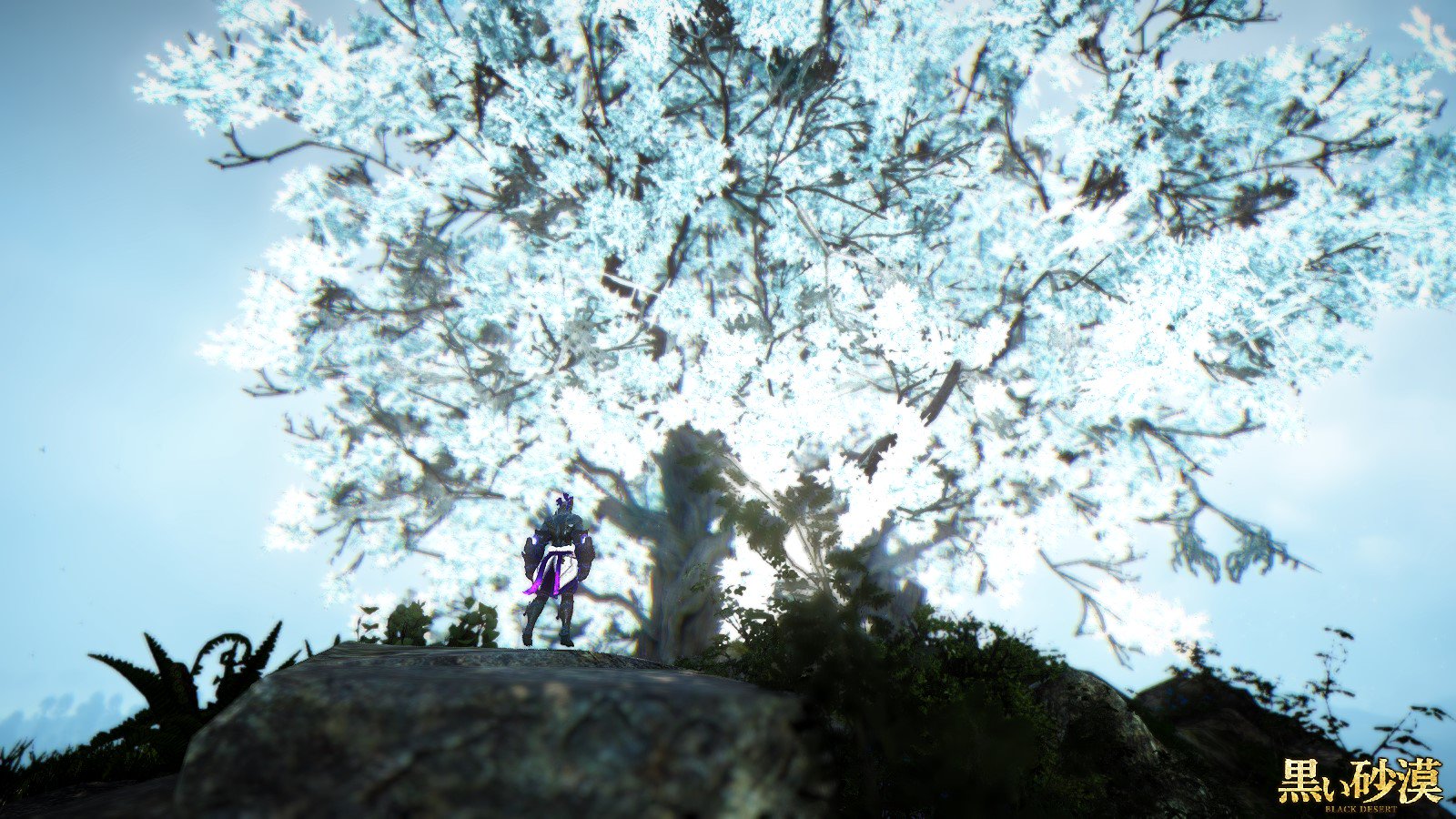 笹木田崎 一二三衛門 on Twitter "びゃああああああああああああ ハイエンド状態のグラフィックがSS綺麗