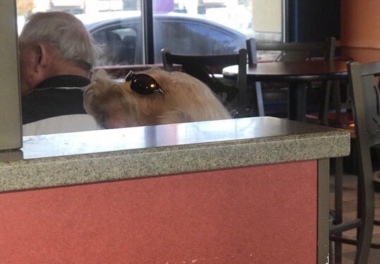 4nric's tweet photo. Pensaba que el pelo de esta señora era un perro con gafas. https://t.co/5SxBQlfi95