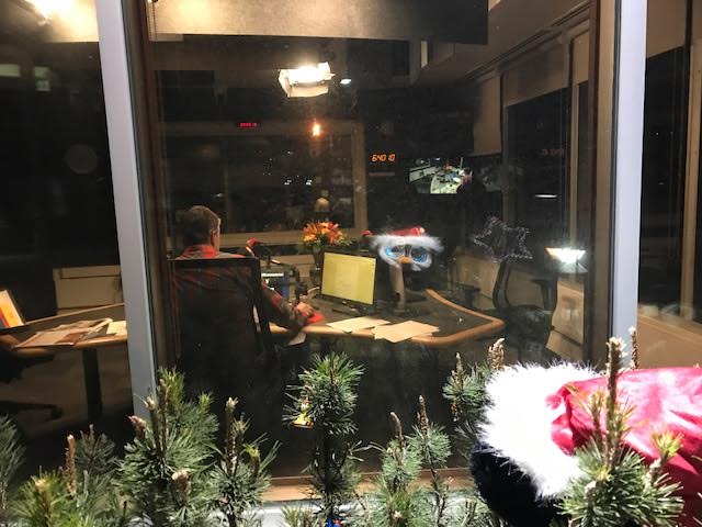 SidTheShrub's tweet photo. It's -11 out here.What's with those flowers inside? Blatant plantism. @CBCEyeopener @CalgaryGeorge #shrubitoff https://t.co/ZuHqb2f5wm