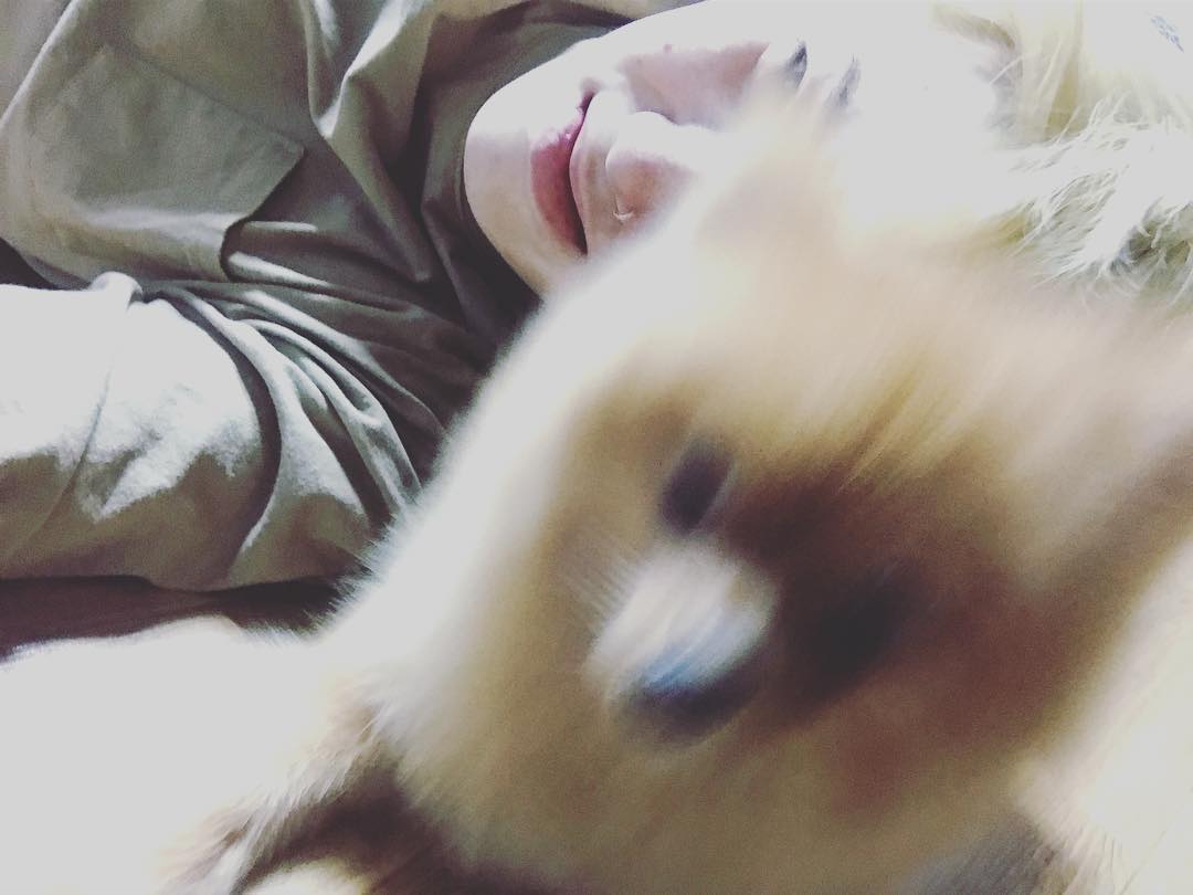 RICEjuseyo's tweet photo. [SNS I IG I TRANS] 171121 @ZELO96 #젤로: Please save me Mochi-yaaaa #mochi #yarascal #babyzeveryone #he #isapro (at being) #cameraconscious #morethanme #cries #Iamhungry @.bymochimato https://t.co/M5wqTjzuOq