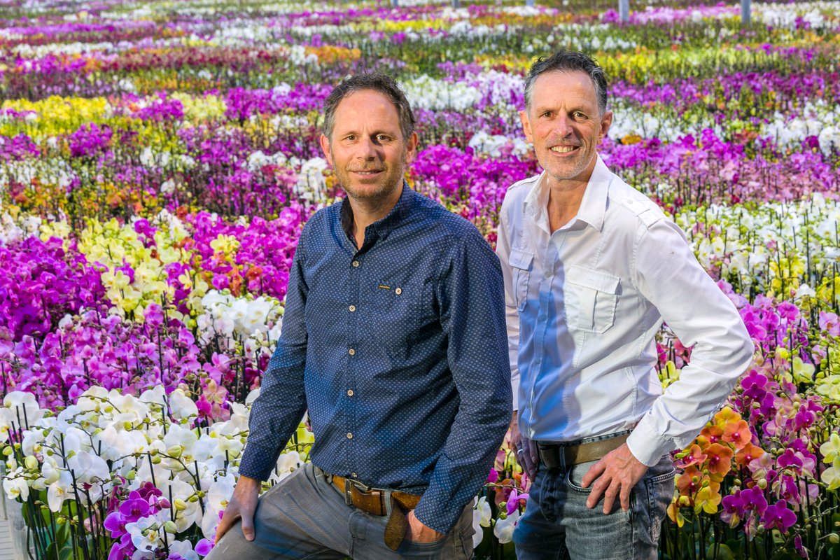 TerLaakOrchids's tweet photo. Wauw! Wat een eer! Wij zijn genomineerd voor de International Grower of the Year Award 2018! Trots, blij en dankbaar! @AiphGlobal https://t.co/LJ7fhpfeqU