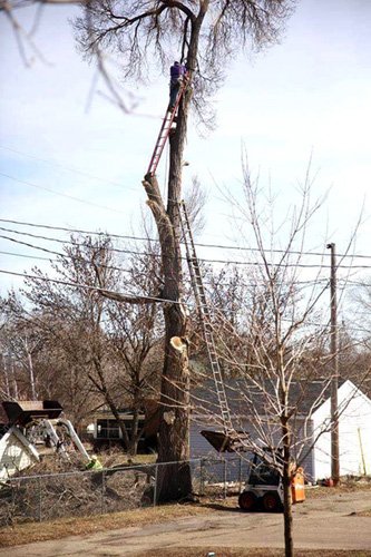 RSICorp's tweet photo. Safety First! A picture speaks a thousand words. We do hope this ended well! #fallsafety #laddersafety https://t.co/b1PIg4mlXY